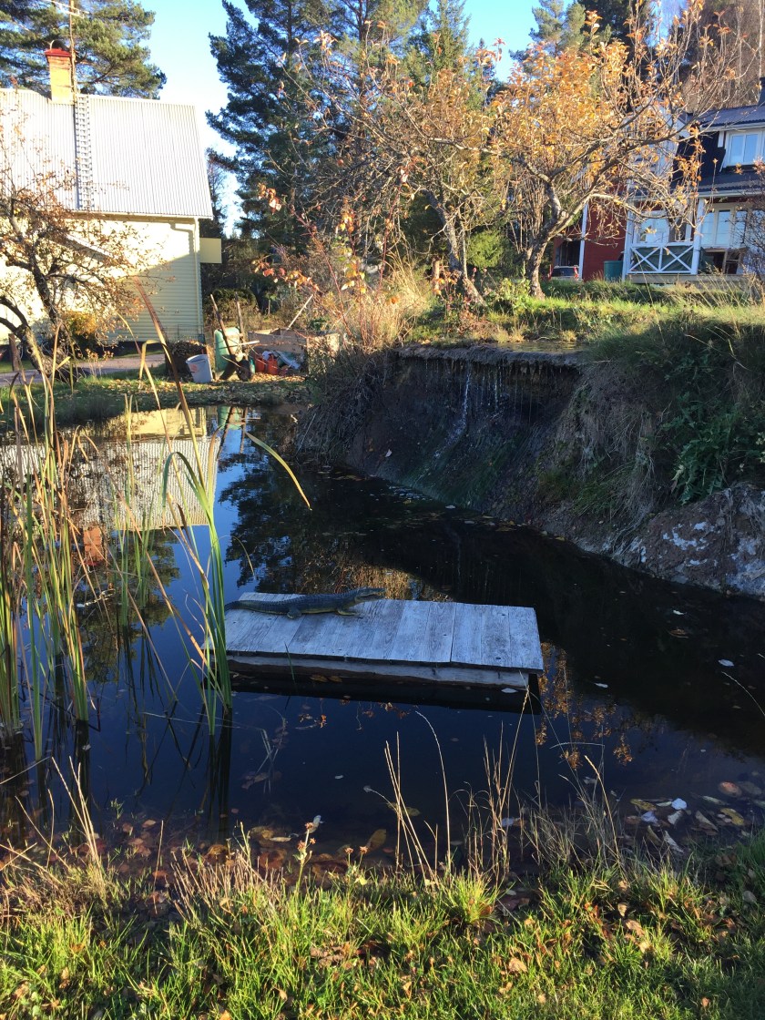 5273A5B6-3D0F-44B6-AD09-29D02BF233F2