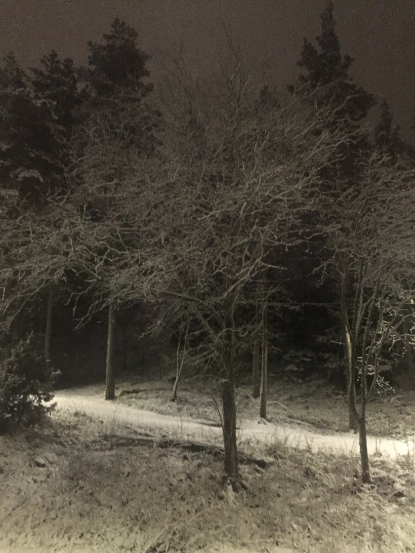 017F4D72-44B4-4B38-8179-7FAA134CDBAE